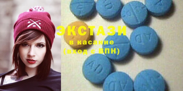 шишки Тында