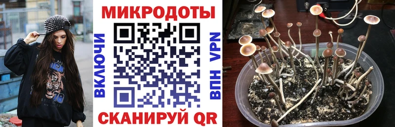 Псилоцибиновые грибы мухоморы  цена   Бийск 