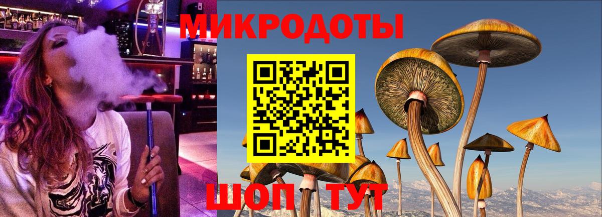 Псилоцибиновые грибы Cubensis Бийск