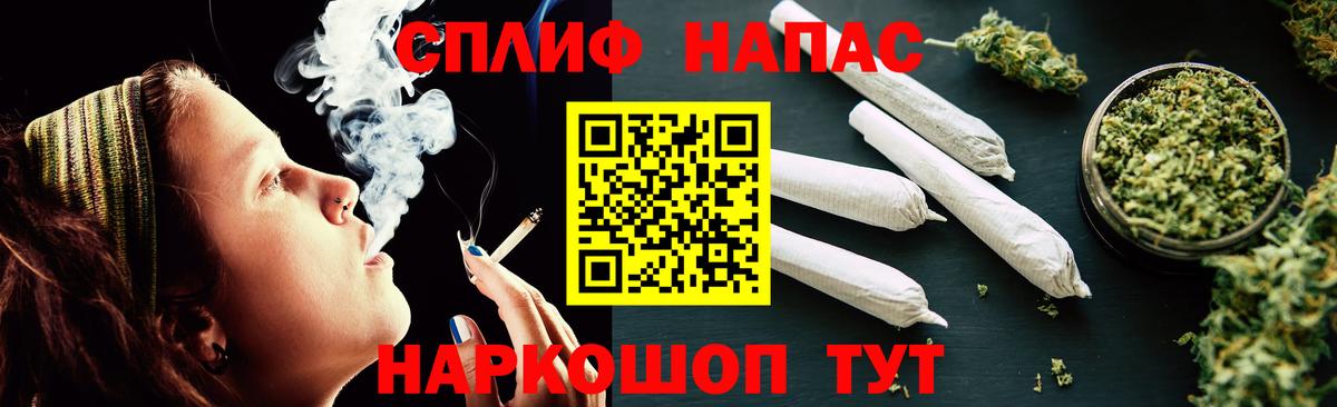 Конопля конопля Бийск